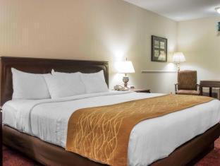 King Room with Spa Bath