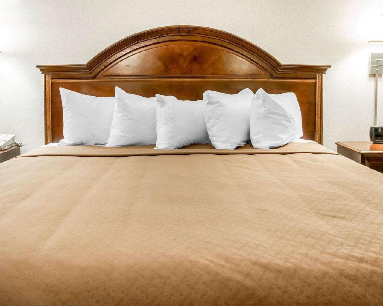 King Room with Sofa Bed